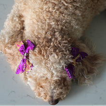 Load image into Gallery viewer, The Purple Royal Chrysanthemums Dog Hair Bow