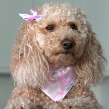 Load image into Gallery viewer, The Pink Royal Chrysanthemums Dog Bandana