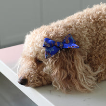 Load image into Gallery viewer, The Blue Dragon Dog Hair Bow