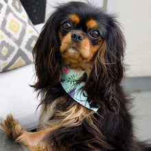 Load image into Gallery viewer, The 'Cavalier Love' Dog Bandana