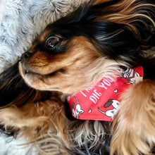 Load image into Gallery viewer, The 'I Really Dig You' Dog Bandana