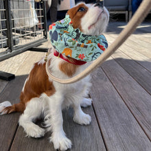 Load image into Gallery viewer, The Justice Dog Snood