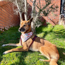 Load image into Gallery viewer, The 'Happiness in Bloom' Dog Bandana