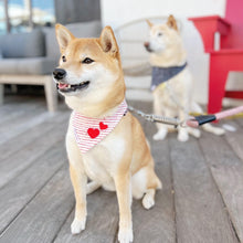 Load image into Gallery viewer, The 'Love Notes' Dog Bandana
