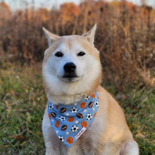 Load image into Gallery viewer, The Ballpark Dog Bandana
