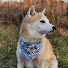 Load image into Gallery viewer, The Ballpark Dog Accessories Set