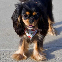 Load image into Gallery viewer, The Poms & Pines Dog Bandana
