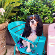 Load image into Gallery viewer, The 'Love in Bloom' Dog Bandana
