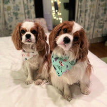 Load image into Gallery viewer, The 'Cavalier Love' Dog Bandana