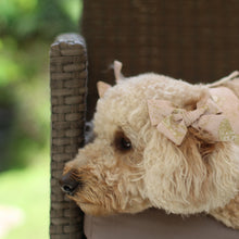Load image into Gallery viewer, The Beatrix Dog Hair Bow