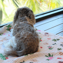 Load image into Gallery viewer, The 'Mischief Managed' Blanket