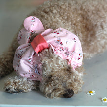 Load image into Gallery viewer, 'Spring Picnic & Daydreams' Dog Snood
