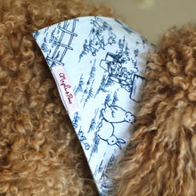 Load image into Gallery viewer, 'Bunnies & Friends' Dog Bandana