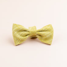 Load image into Gallery viewer, 'Kiwi' Dog Bowtie