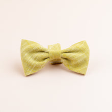 Load image into Gallery viewer, 'Kiwi' Dog Accessories Set