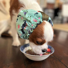 Load image into Gallery viewer, The 'Cavalier Love' Accessories Set