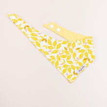 Load image into Gallery viewer, The Sweet Pea Dog Accessories Set