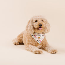 Load image into Gallery viewer, The Girl Power Dog Bandana