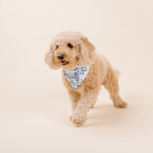 Load image into Gallery viewer, The Porcelain Dog Bandana