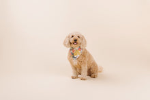 Load image into Gallery viewer, The Sakura Dog Accessories Set