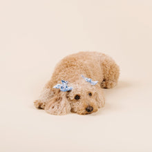 Load image into Gallery viewer, The Porcelain Dog Accessories Set