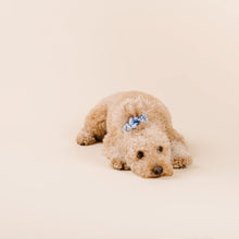 Load image into Gallery viewer, The Porcelain Scrunchie