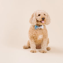 Load image into Gallery viewer, The Everest Dog Bowtie
