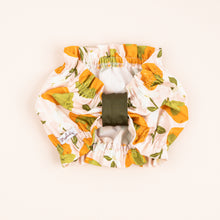 Load image into Gallery viewer, The Persimmon Season Dog Snood