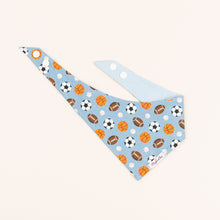 Load image into Gallery viewer, The Ballpark Dog Bandana