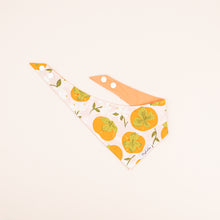 Load image into Gallery viewer, The Persimmon Season Dog Bandana