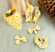 Load image into Gallery viewer, The Sweet Pea Dog Accessories Set