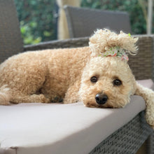 Load image into Gallery viewer, The Eloise Scrunchie