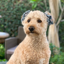 Load image into Gallery viewer, The Darcy Scrunchie