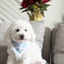 Load image into Gallery viewer, The 'Penguin Friends' Dog Bandana with Trim