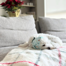 Load image into Gallery viewer, 'A Doodle Holiday' Dog Snood