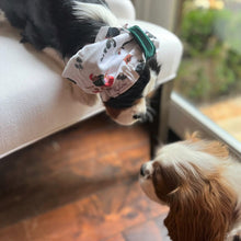 Load image into Gallery viewer, 'A Cavalier King Charles Spaniel Holiday' Dog Snood