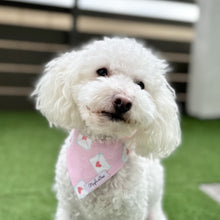 Load image into Gallery viewer, The 'Sealed with Love' Dog Bandana