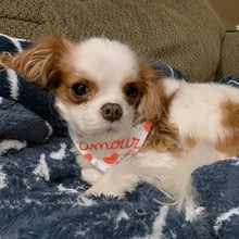 Load image into Gallery viewer, The 'Amour' Dog Bandana