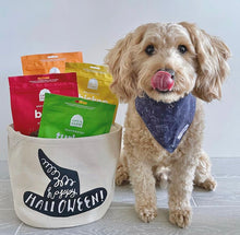 Load image into Gallery viewer, The Orion Dog Bandana