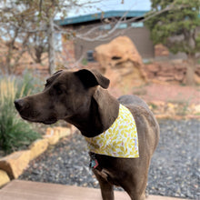Load image into Gallery viewer, The Sweet Pea Dog Bandana