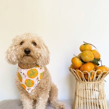 Load image into Gallery viewer, The Persimmon Season Dog Bandana