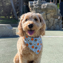 Load image into Gallery viewer, The Ballpark Dog Bandana