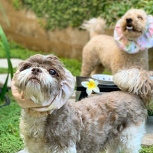 Load image into Gallery viewer, The Beatrix Dog Snood