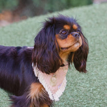 Load image into Gallery viewer, The Beatrix Dog Bandana