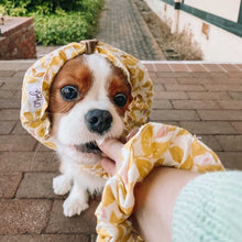 Load image into Gallery viewer, The Sweet Pea Dog Snood