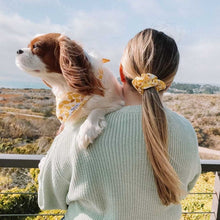 Load image into Gallery viewer, The Sweet Pea Dog Accessories Set