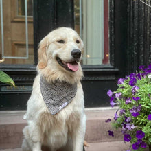 Load image into Gallery viewer, The Pacific Dog Bandana