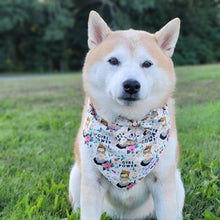 Load image into Gallery viewer, The Girl Power Dog Bandana