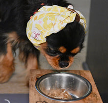 Load image into Gallery viewer, The Sweet Pea Dog Accessories Set