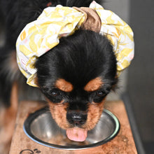 Load image into Gallery viewer, The Sweet Pea Dog Snood